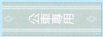 公車專用道示意圖 公車專用